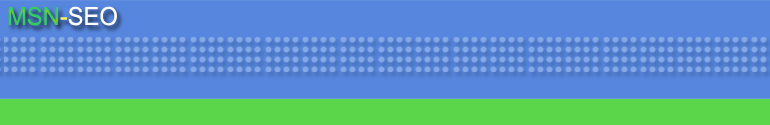 msn-seo_oben